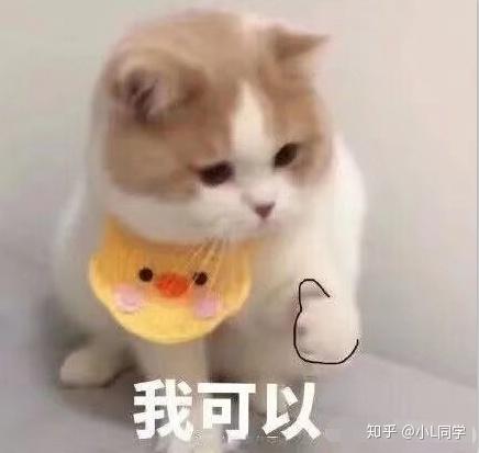 小马哥是有氧还是无氧_小马哥算有氧运动吗_小马哥是有氧运动吗