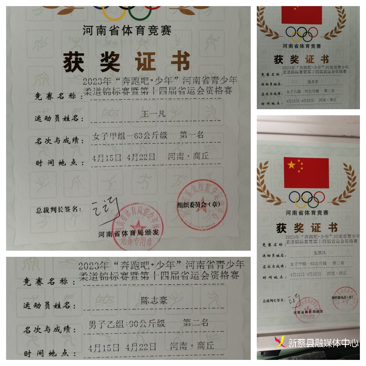 河南女子冠军运会柔道冠军名单_河南十运会女子柔道冠军_河南柔道世界冠军