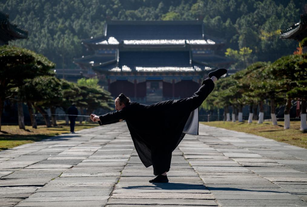 武当技能释放顺序_武当生活技能学习_武当技能介绍