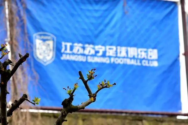 中超冠军叫什么_中超冠军对中国足球的作用_中超谁是冠军