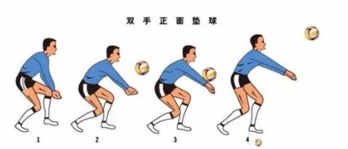 女性内脏结构示意图图_篮球规则结构示意图图片_篮球示意图怎么画