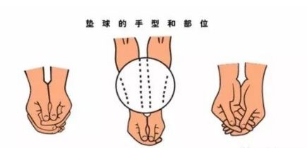 篮球规则结构示意图图片_女性内脏结构示意图图_篮球示意图怎么画