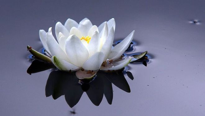 独居老人的日常生活_独居老年女人的心理_中老年女人独居生活方式