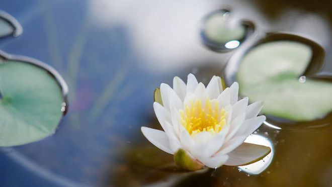 中老年女人独居生活方式_独居老人的日常生活_独居老年女人的心理