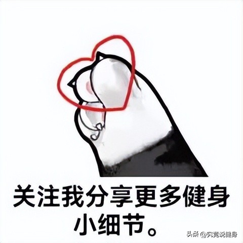 健身房力量训练能减肥吗_健身房力量训练视频_健身房力量